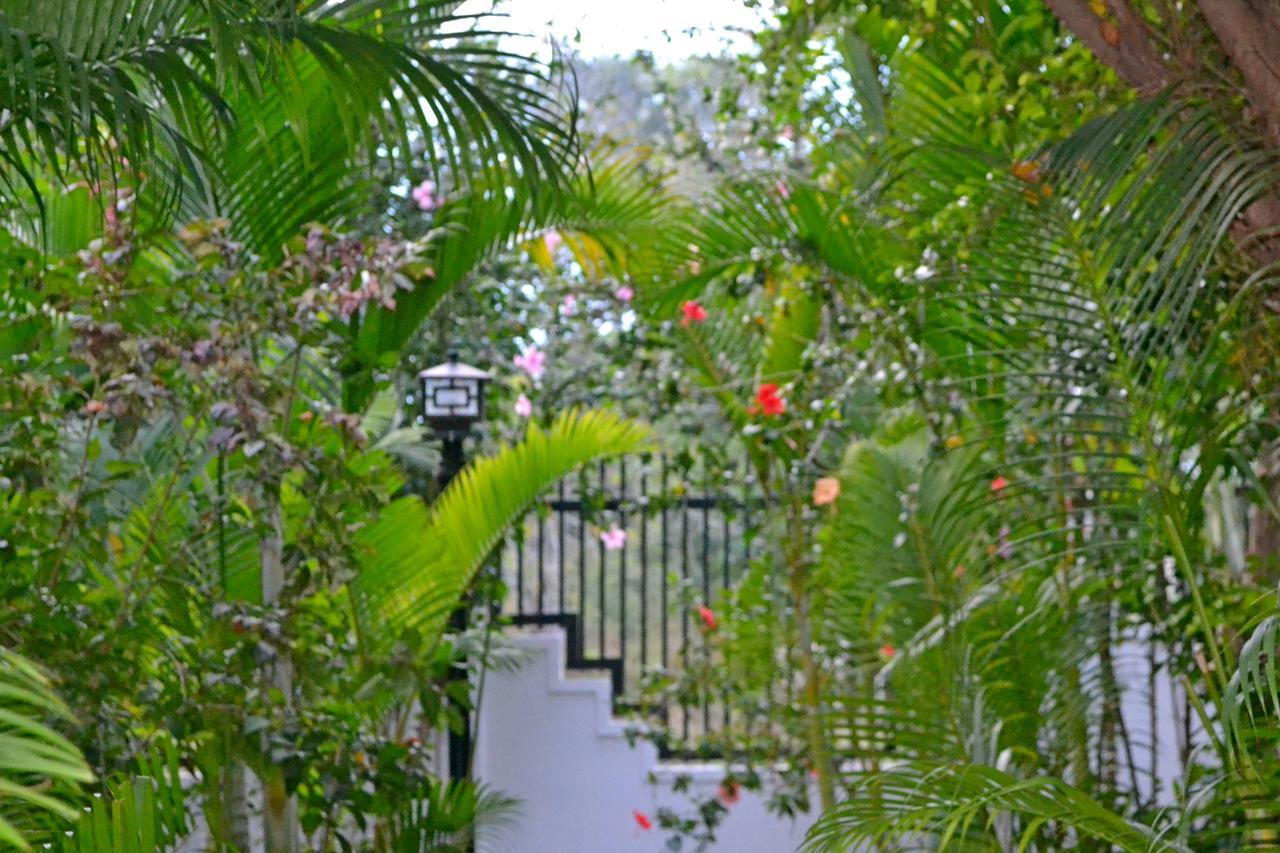 Nature Boutique Residence 시엠리아프 외부 사진